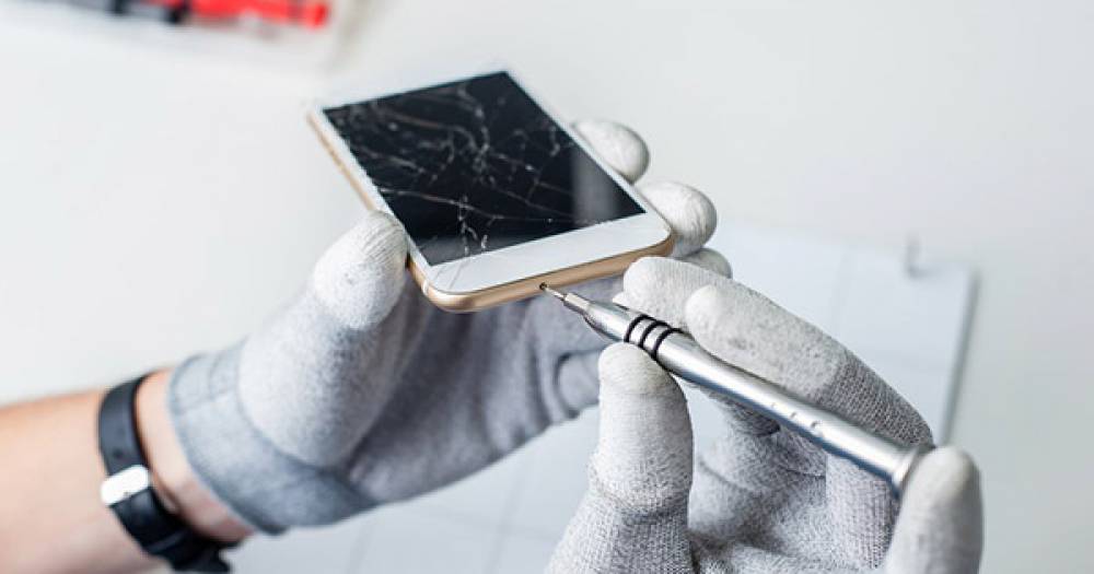 6 Tips for Better Pictures with Your Smartphone